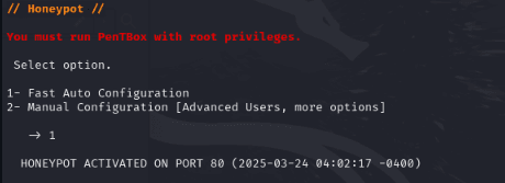 Honeypot simulation terminal output screenshot 1